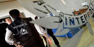 Interpol, doğayı katleden suçlulara karşı savaş açtı