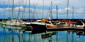 Güzel enstantaneler yakaladılar