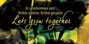 Ledra Palace’ta ortak “Zeytin Festivali”