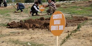 “Şiddetsiz Lefkoşa Ormanı” oluşturuldu