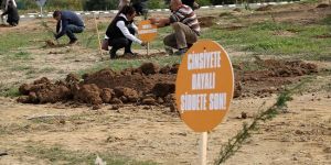 “Şiddetsiz Lefkoşa Ormanı” oluşturuldu