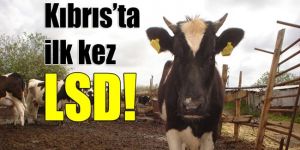 Tarım Bakanlığından üreticilere ÇAĞRI