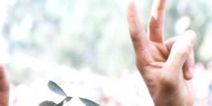 2004 Referandumu = Evet 2013 paneli