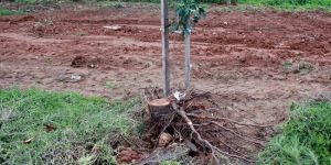 CTP Gençlik polise ihbarda bulundu