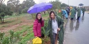 Mağusa ‘Aşıklar Yolu’nda bitkilendirme