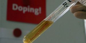 Kasım ayı temiz çıktı