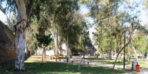 Kuğulu Park’ta UYUŞTURUCU