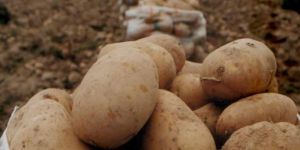 Listeler Pazartesi askıya alınacak