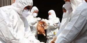 5 yaşındaki çocuk kuş gribinden hayatını kaybetti