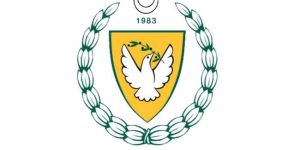 Hanehalkı Bütçe Anketi sürüyor