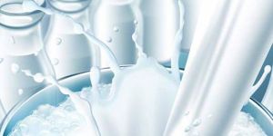 Süt bedelleri ödendi