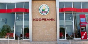 Koop-Sen greve gidiyor
