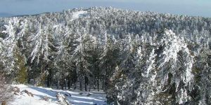 Trodos beyaza büründü, yollar kapandı