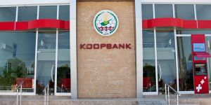 Koop-Sen grevi iptal