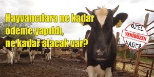 2014te hayvancı ne aldı?