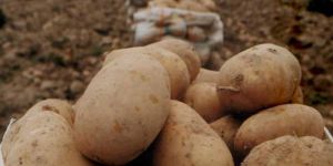 İtiraz süresi uzatıldı