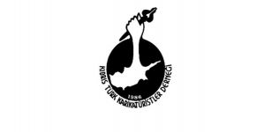 Paristeki mizah katliamına KINAMA