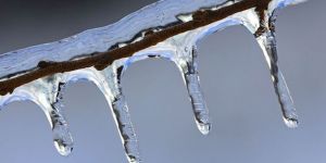 Tarım Dairesinden üreticilere UYARI