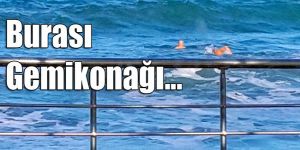 Dondurucu soğukta yüzdüler