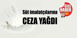 Rekabet Kurulu ceza kesti