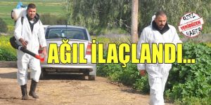 İtlaf edilen hayvan sayısı 8’e yükseldi