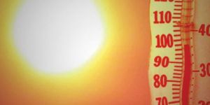 2014 tarihin en sıcak yılı oldu
