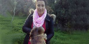 Şimdi mantar zamanı