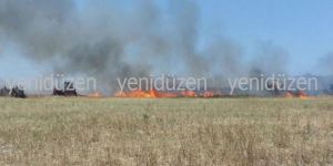 160 dönüm emek küle döndü