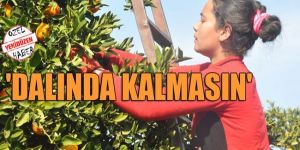 YENİDÜZEN üreticinin nabzını tuttu