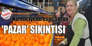 Cypfruvex Genel Müdürü YENİDÜZENe konuştu