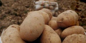 İtiraz süresi uzatıldı