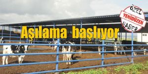 LSD için 70 bin doz aşı