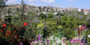 Lefkede hedef 2015te Cittaslow olmak