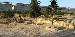 Karpaz eşekleri için arazi