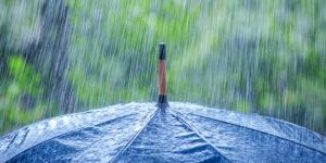 Yeşilırmak’a bereket yağdı