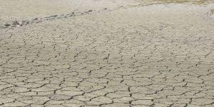 Kuraklık 103 can aldı