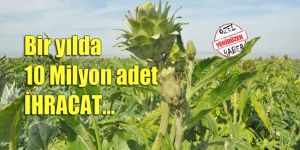 Mormonekşe’deki üreticiler YENİDÜZENe konuştu