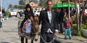 Hayvanlar ile keyifli anlar…