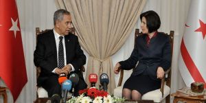 Siber, Arınç’ı kabul etti