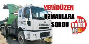 Ağaç taşıma MÜMKÜN MÜ?