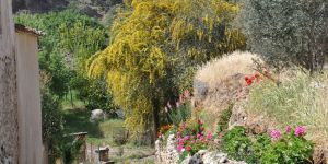 Bağlıköy’de geleneksel Eko Gün 1 Martta