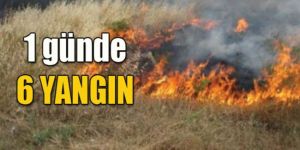 Sıcaklar geldi aman dikkat!