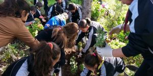 İzci koruluğu oluşturuldu.