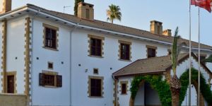 Saray’dan AP kararına tepki