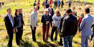 Koop-Banktan doğaya fidanlar