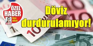 Dövizde dalgalanma sürüyor