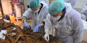 Don Kişotun yazarı Cervantesin mezarı bulundu