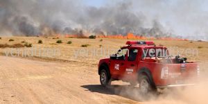 Binlerce dönüm ekin kül oldu!