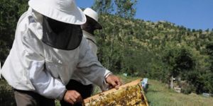 Arıcılık ve Balıkçılığa Destek