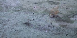 Tartan pistte yanıklar